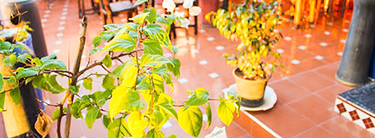 Jad Auberge Ourika Exterior foto